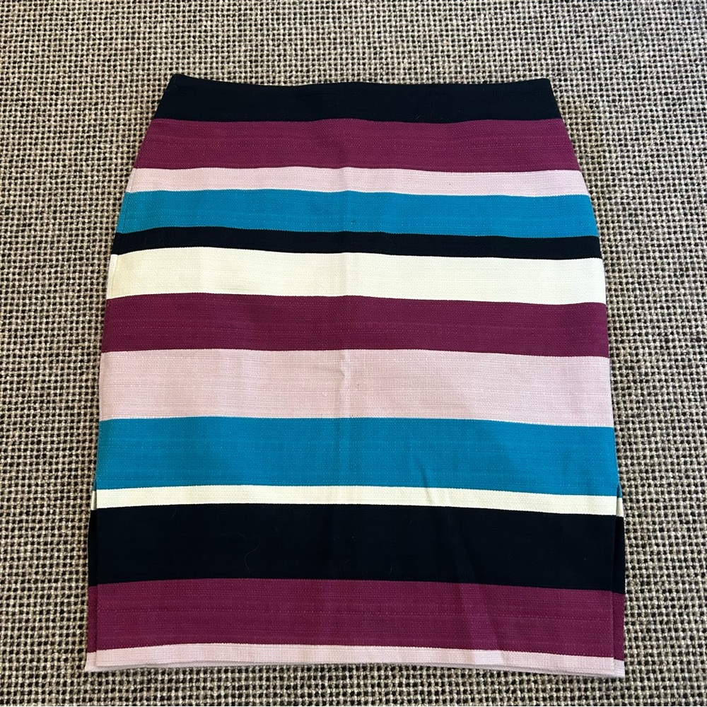 Striped Multicolor Women's Skirt